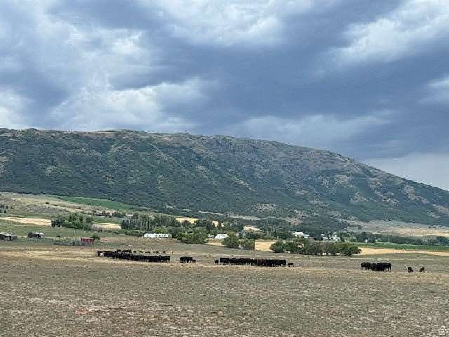 1.12 Acres of Land for Sale in Clifton, Idaho