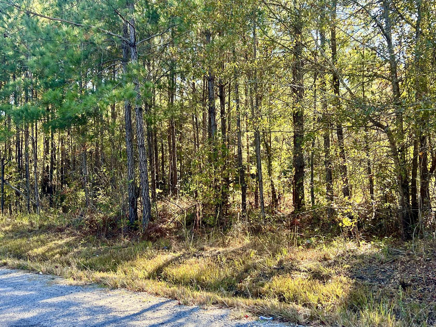 3 Acres of Residential Land for Sale in Cross, South Carolina