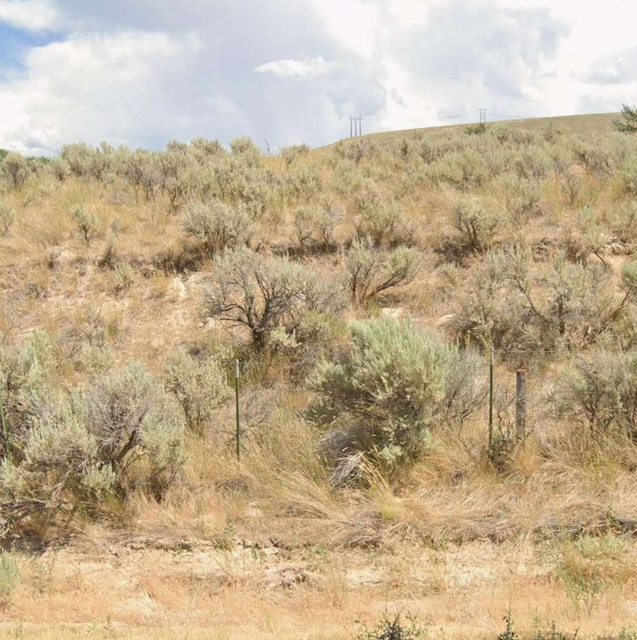 1.38 Acres of Residential Land for Sale in American Falls, Idaho
