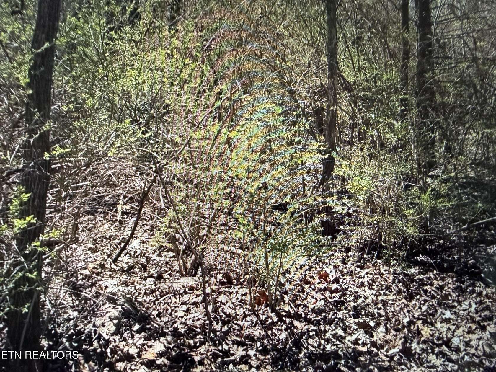 1.5 Acres of Land for Sale in Crossville, Tennessee