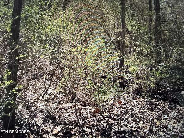 1.5 Acres of Land for Sale in Crossville, Tennessee