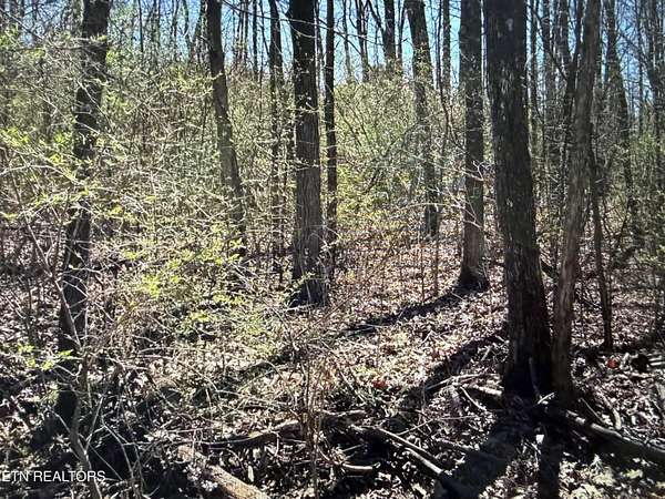 1.5 Acres of Land for Sale in Crossville, Tennessee