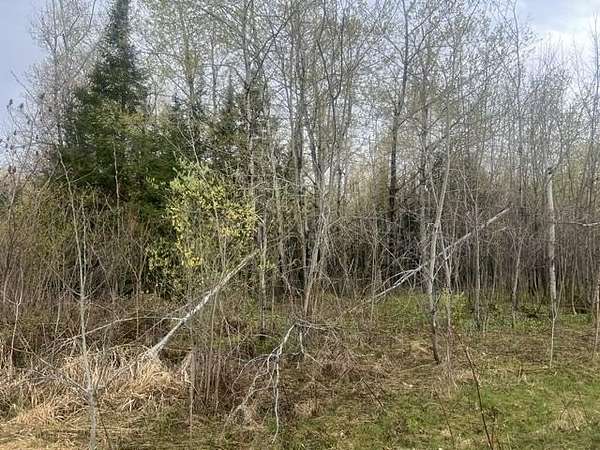 7.15 Acres of Residential Land for Sale in Wabeno, Wisconsin