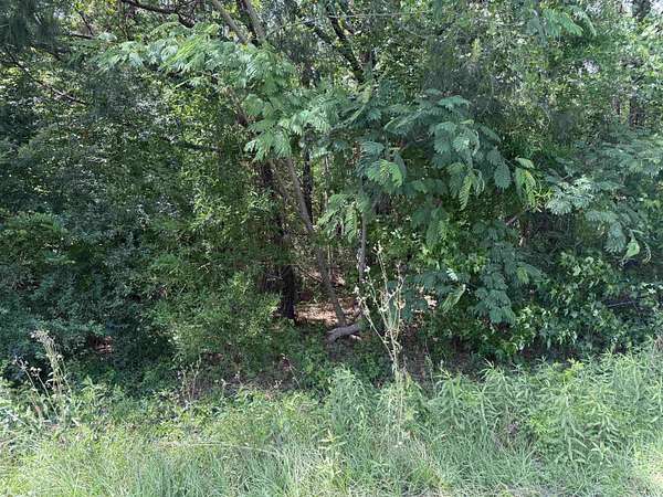 0.32 Acres of Residential Land for Sale in Andrews, South Carolina