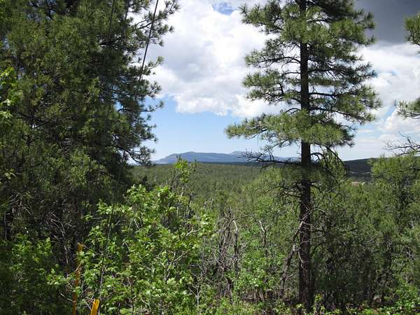 13 Acres of Land for Sale in Tijeras, New Mexico