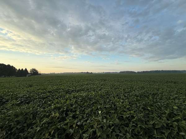 128 Acres of Agricultural Land for Sale in Belle Plaine, Minnesota