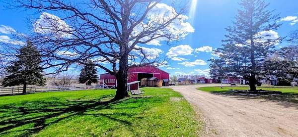 18.4 Acres of Land with Home for Sale in Eagle Bend, Minnesota