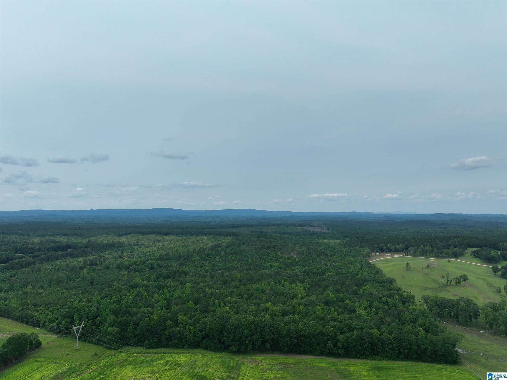 51.1 Acres of Recreational & Residential Land for Sale in Wilsonville, Alabama