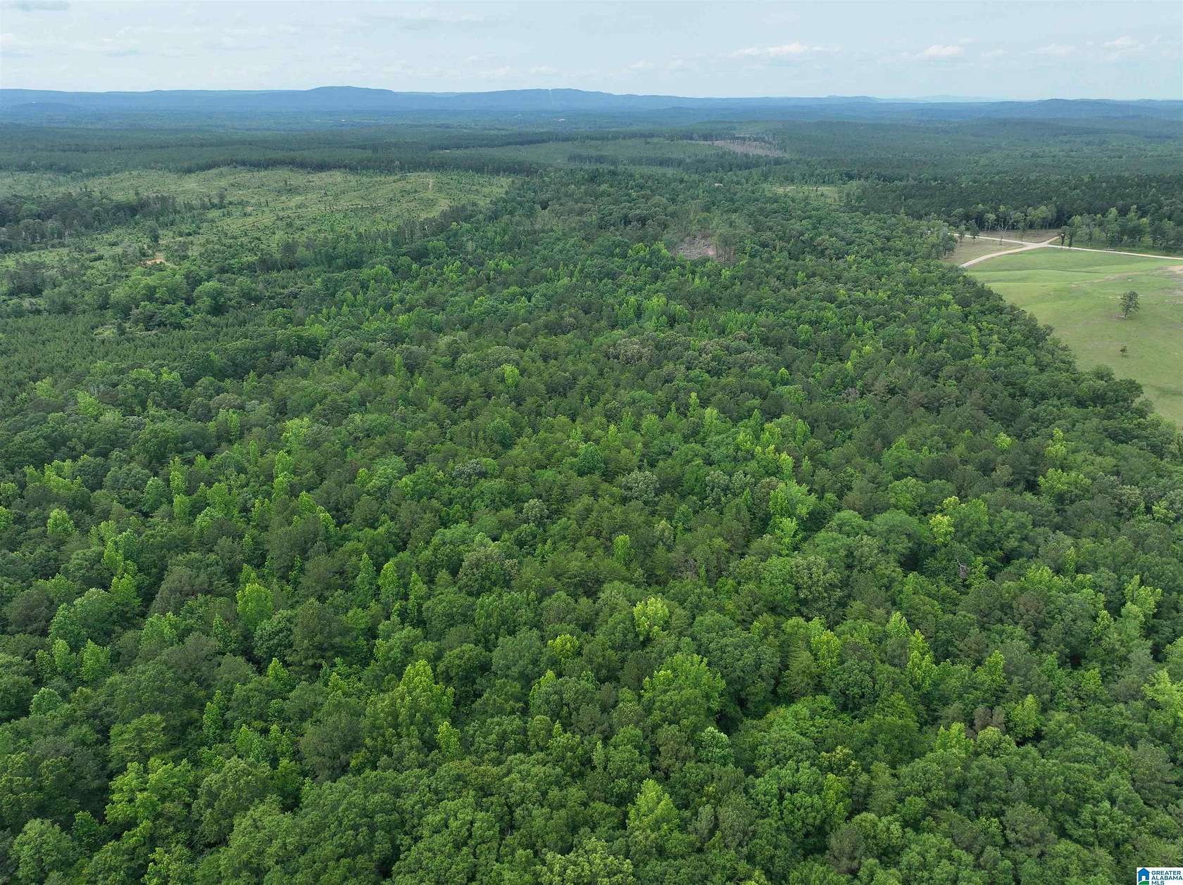51.1 Acres of Land for Sale in Wilsonville, Alabama