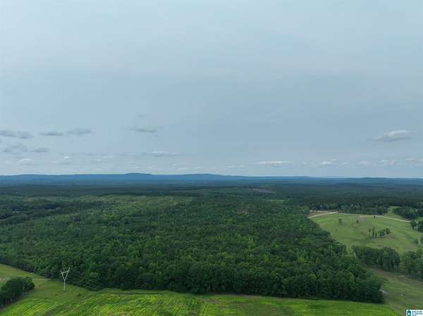 51.1 Acres of Recreational & Residential Land for Sale in Wilsonville, Alabama