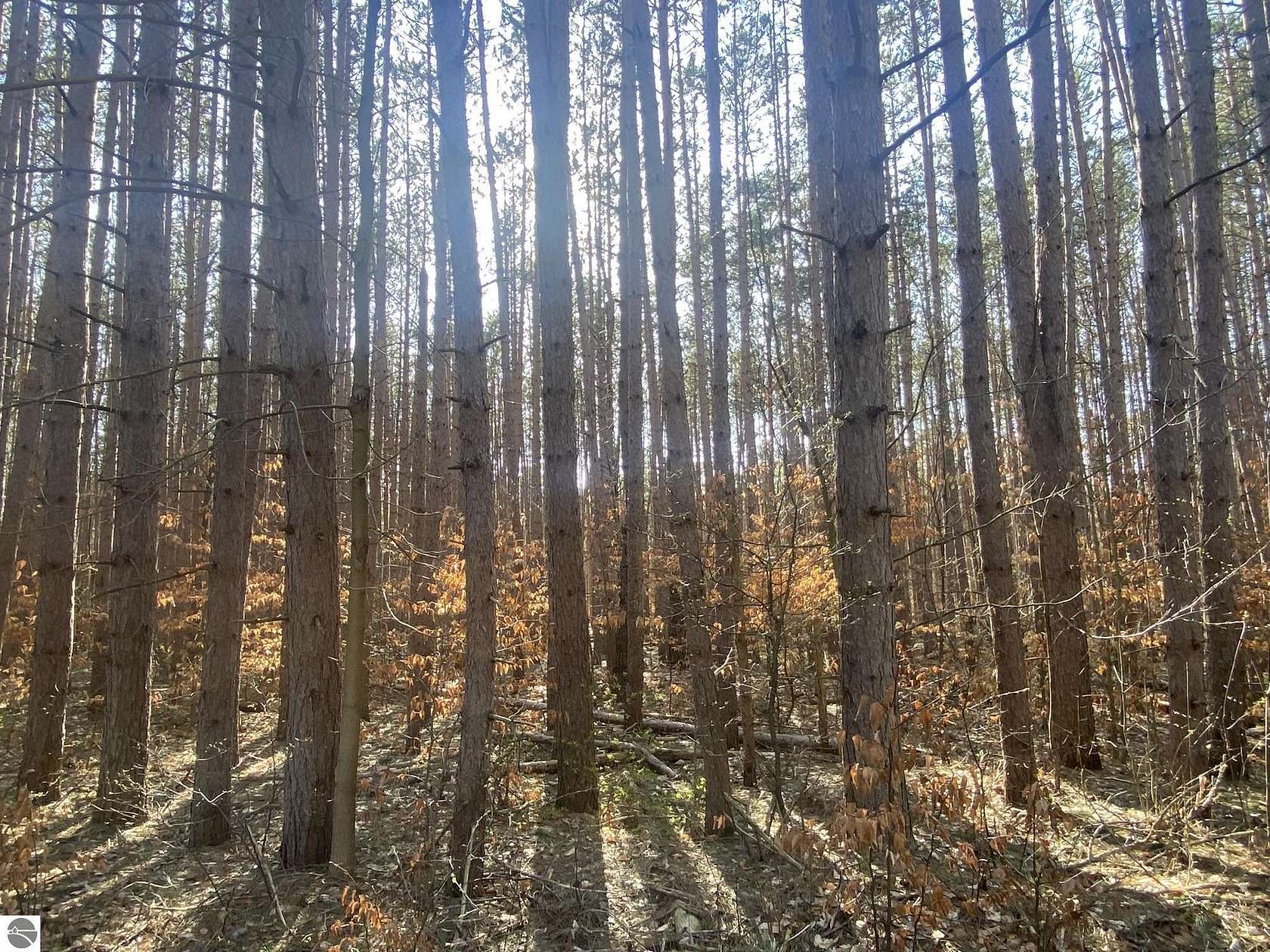 0.34 Acres of Land for Sale in Cadillac, Michigan