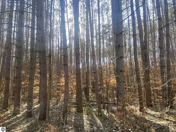 0.34 Acres of Land for Sale in Cadillac, Michigan