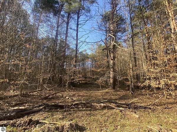 0.68 Acres of Land for Sale in Cadillac, Michigan