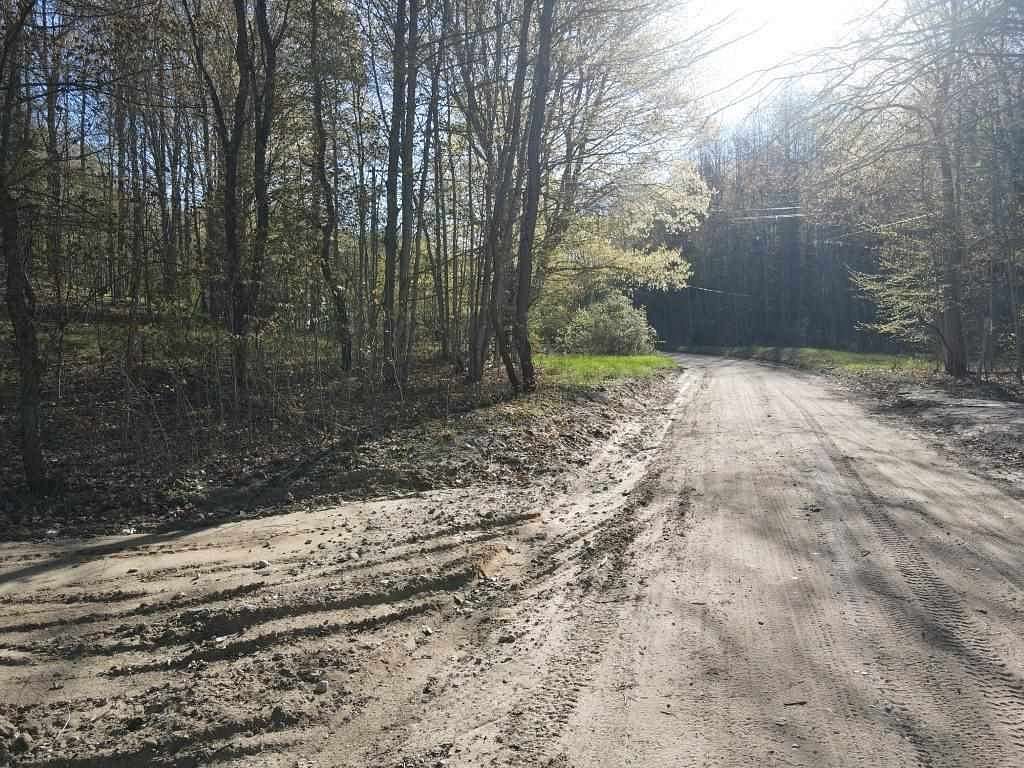 13 Acres of Land for Sale in East Jordan, Michigan