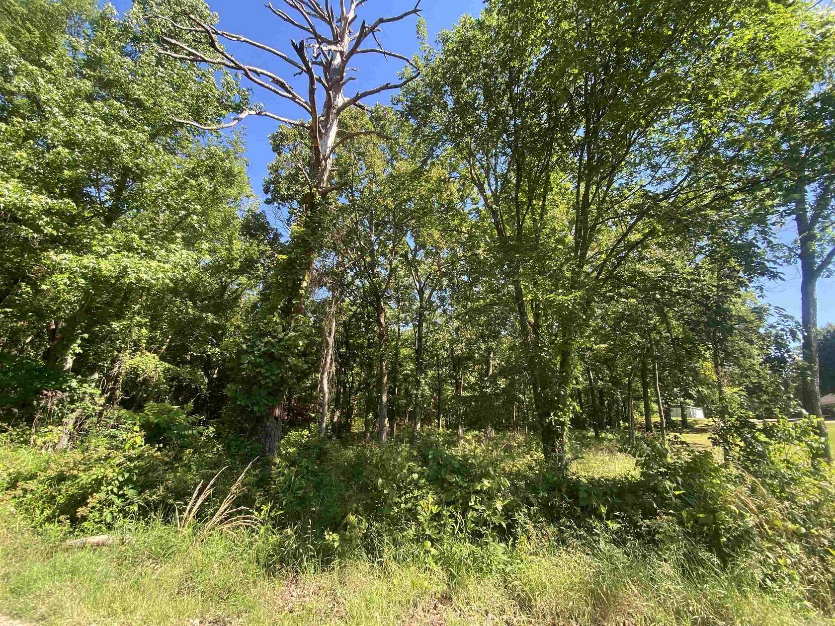 15.2 Acres of Land for Sale in Mount Ida, Arkansas