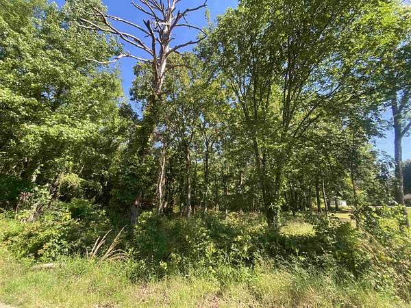 15.2 Acres of Land for Sale in Mount Ida, Arkansas