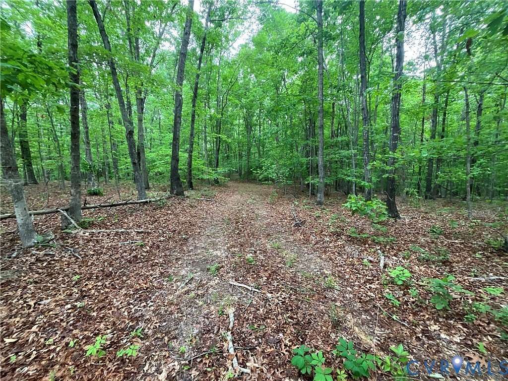 103 Acres of Recreational Land for Sale in Gladstone, Virginia