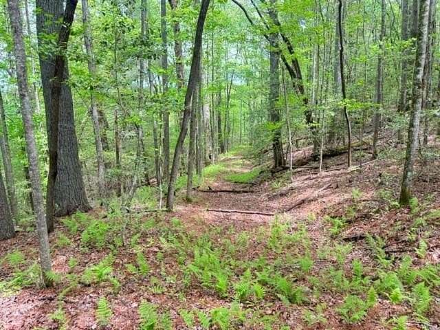 18 Acres of Recreational Land for Sale in Suches, Georgia