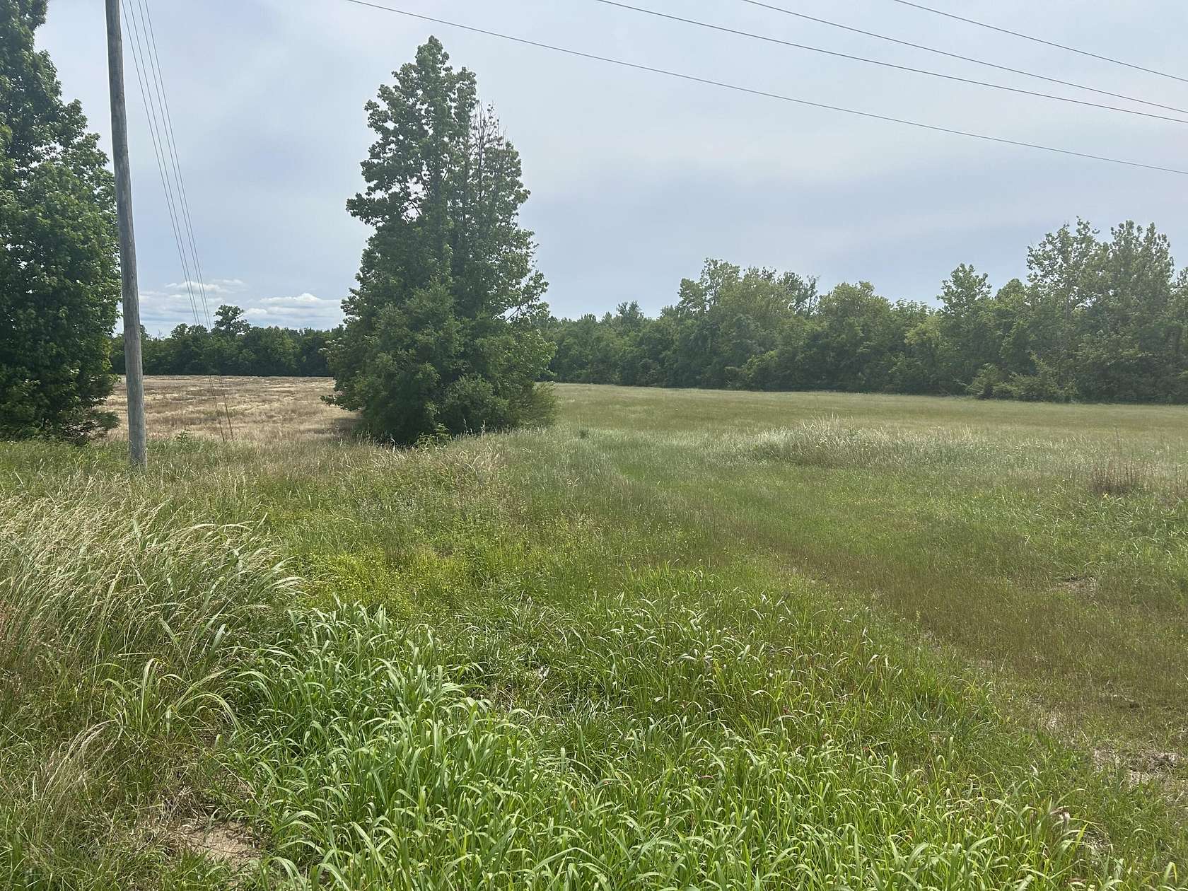 76.2 Acres of Mixed-Use Land for Sale in Baldwyn, Mississippi