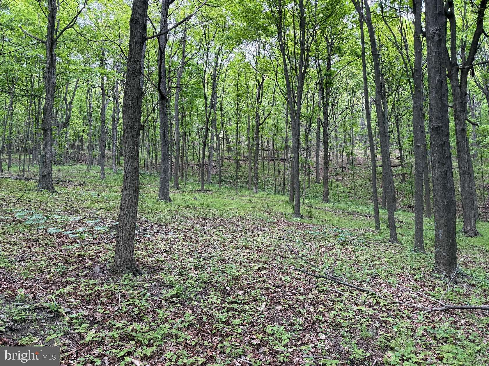 55 Acres of Recreational Land for Sale in Bedford, Pennsylvania