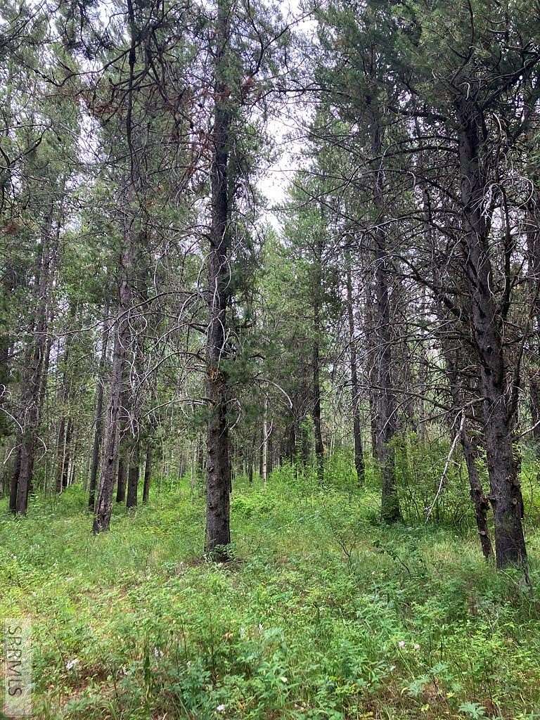 1.4 Acres of Residential Land for Sale in Ashton, Idaho