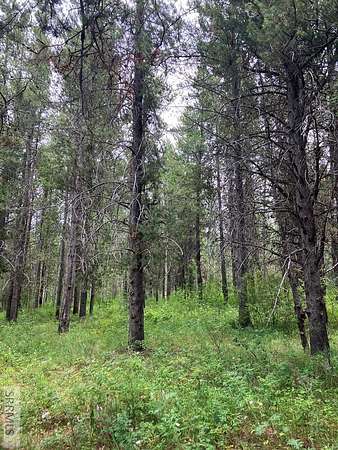 1.4 Acres of Residential Land for Sale in Ashton, Idaho