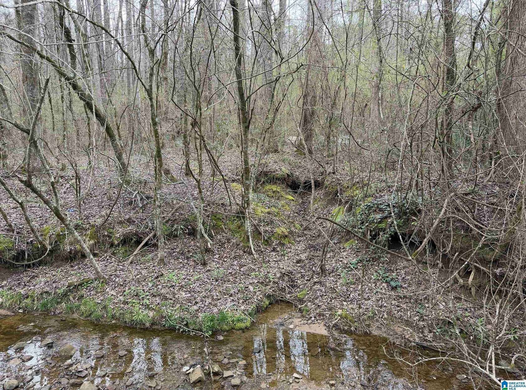 1 Acre of Residential Land for Sale in Warrior, Alabama