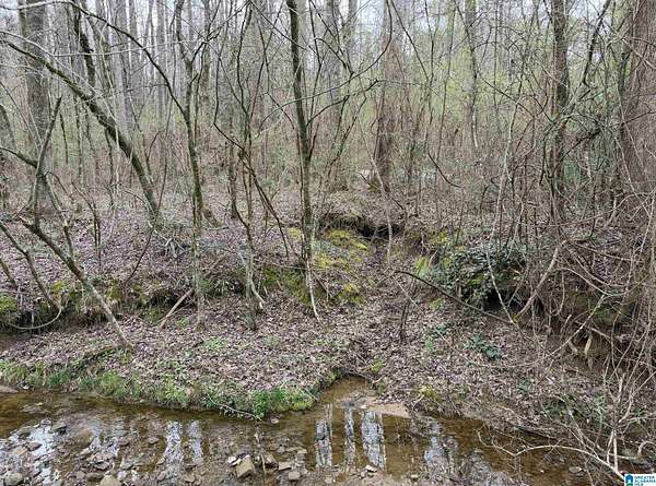 1 Acre of Residential Land for Sale in Warrior, Alabama