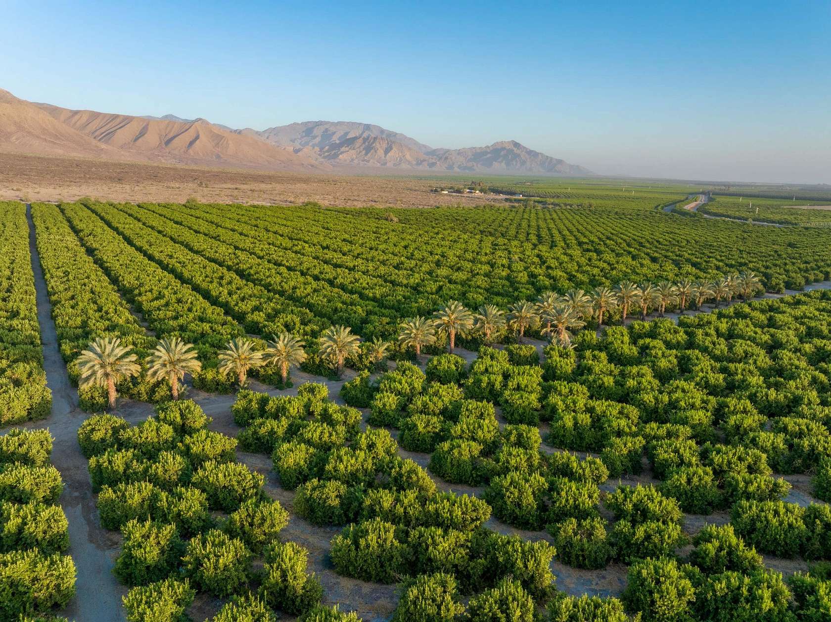 98.2 Acres of Agricultural Land for Sale in Thermal, California