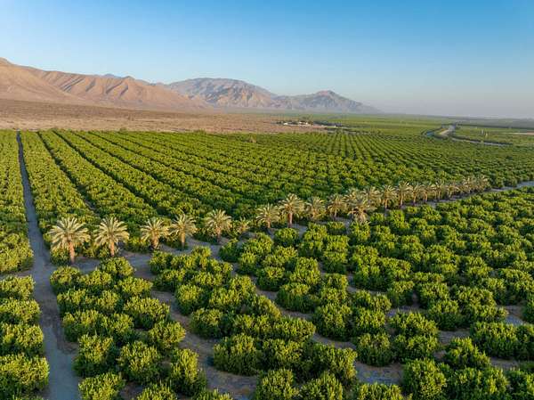 98.2 Acres of Agricultural Land for Sale in Thermal, California