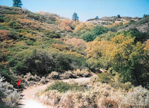 3.55 Acres of Land for Sale in Tehachapi, California