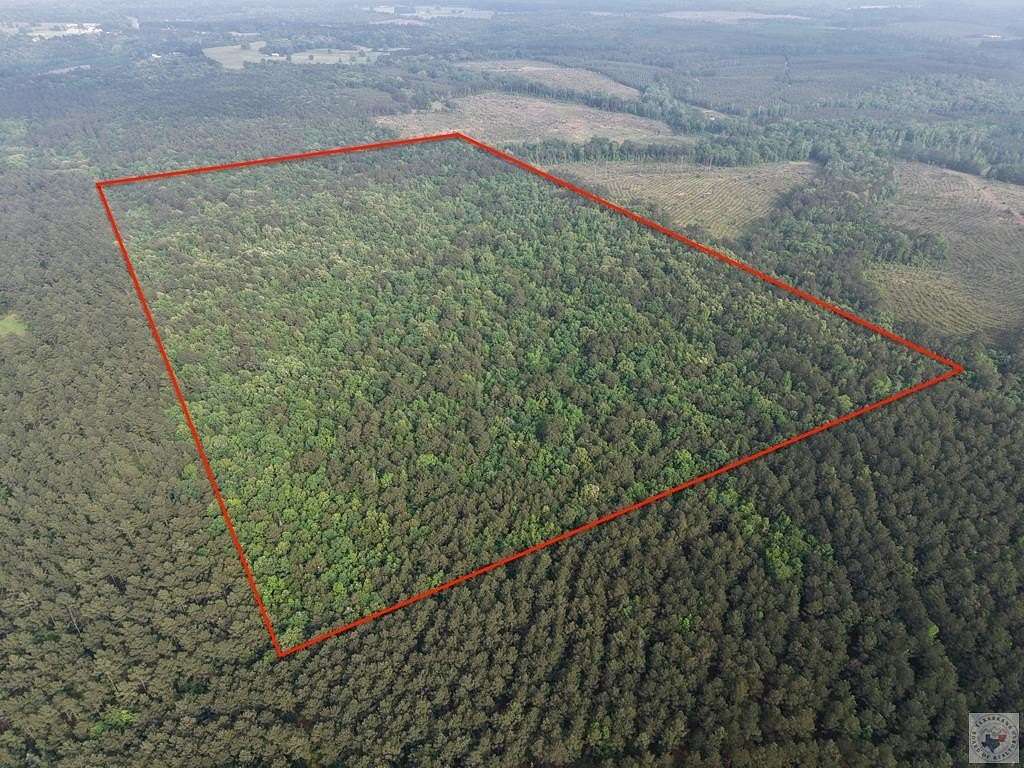 100 Acres of Recreational Land for Sale in Bivins, Texas