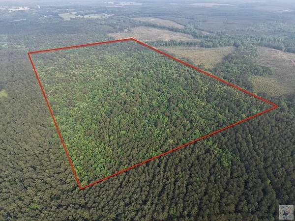 100 Acres of Recreational Land for Sale in Bivins, Texas