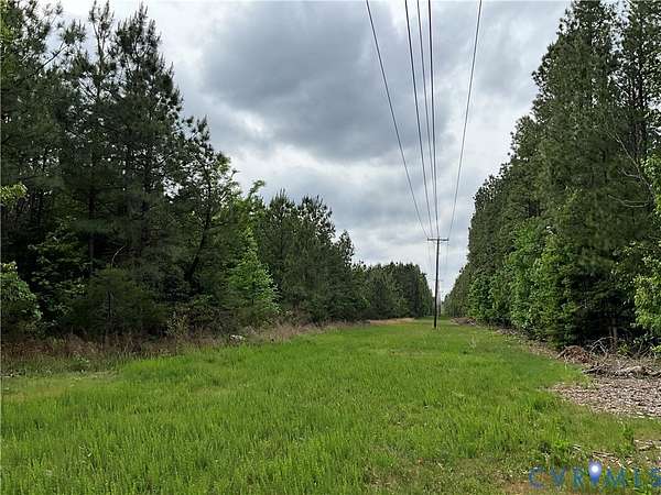 165 Acres of Land for Sale in Dillwyn, Virginia