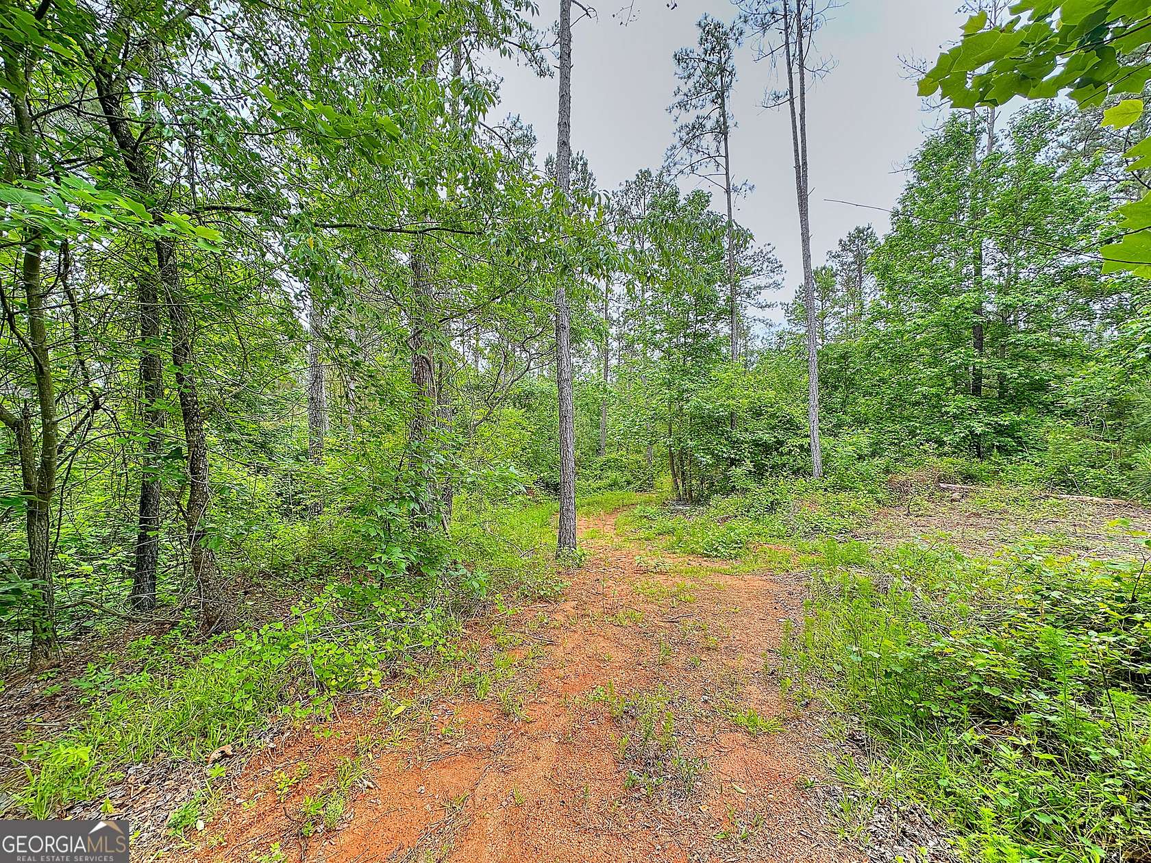 18.1 Acres of Recreational & Residential Land for Sale in Franklin, Georgia