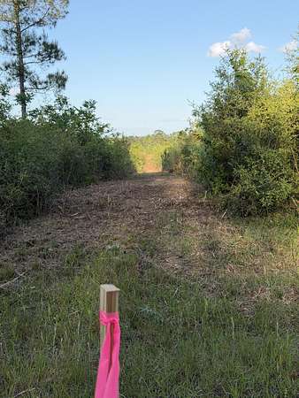 Residential Land for Sale in Sandy Hook, Mississippi