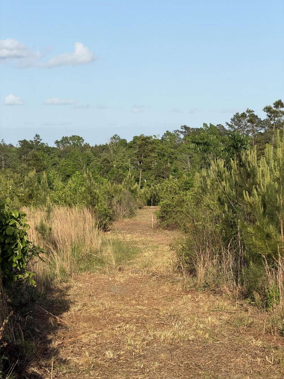 Residential Land for Sale in Sandy Hook, Mississippi