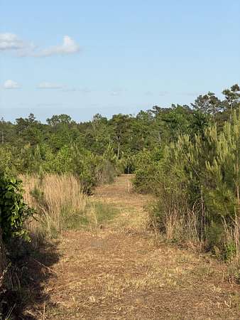 Residential Land for Sale in Sandy Hook, Mississippi