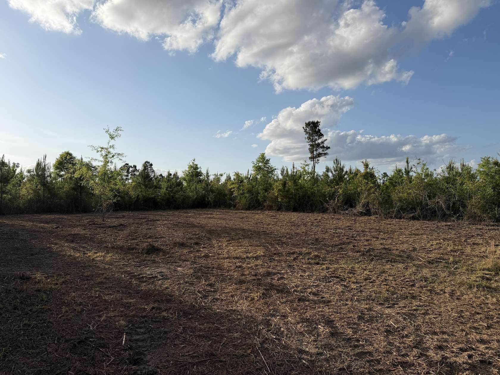 6.2 Acres of Residential Land for Sale in Sandy Hook, Mississippi