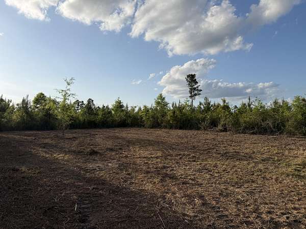 6.2 Acres of Residential Land for Sale in Sandy Hook, Mississippi