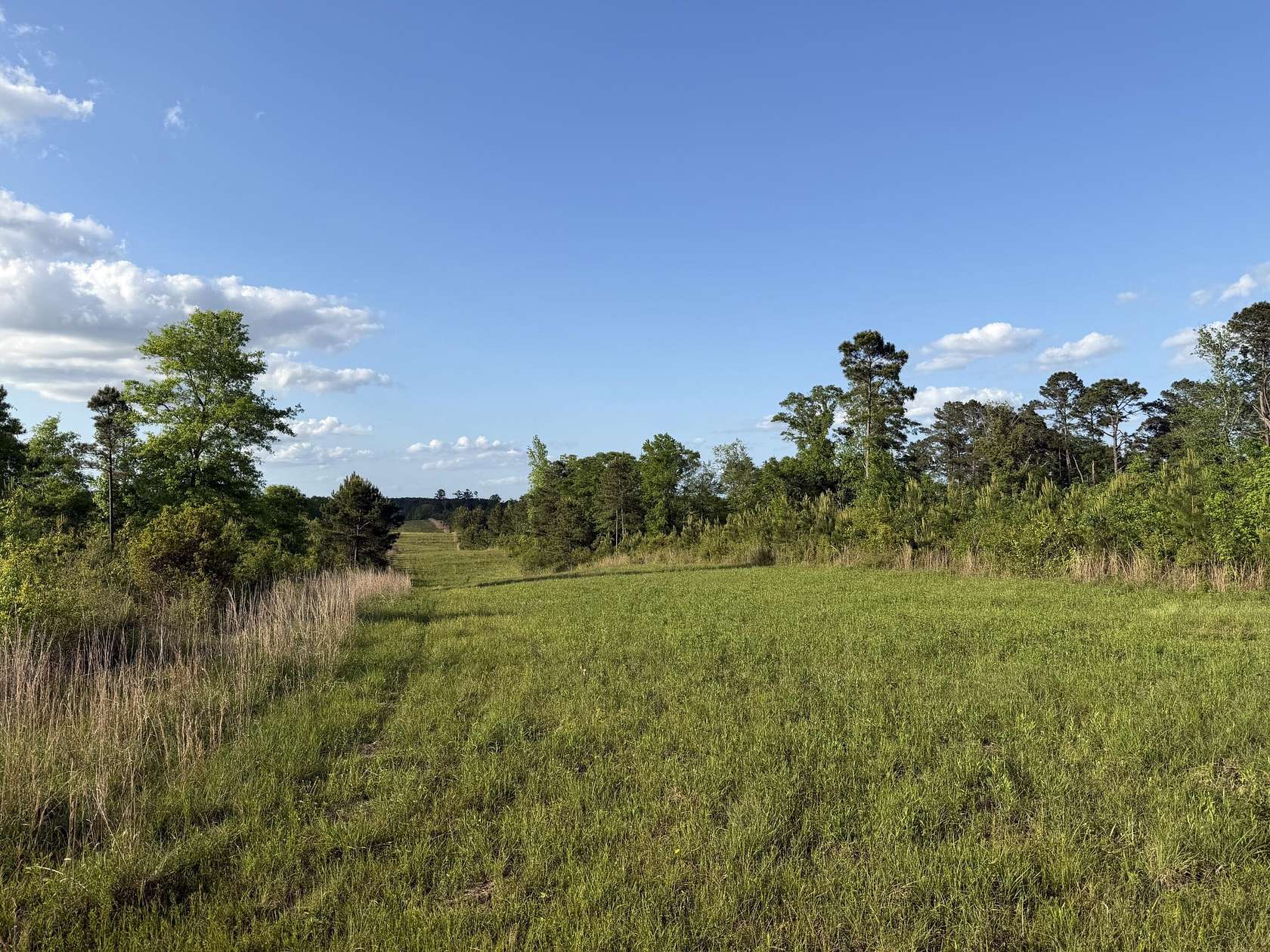15.7 Acres of Land for Sale in Sandy Hook, Mississippi