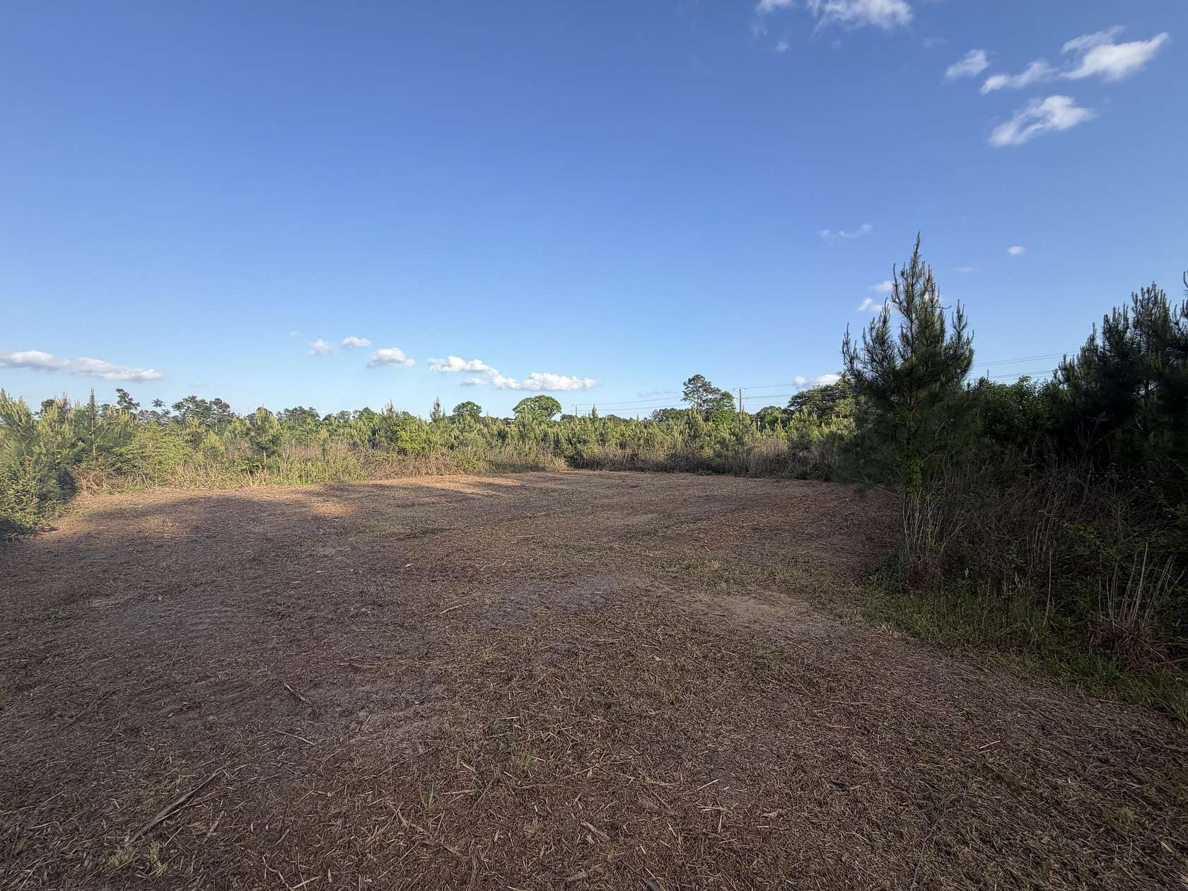 15.7 Acres of Land for Sale in Sandy Hook, Mississippi