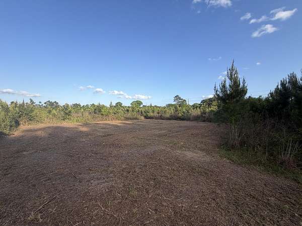15.7 Acres of Land for Sale in Sandy Hook, Mississippi