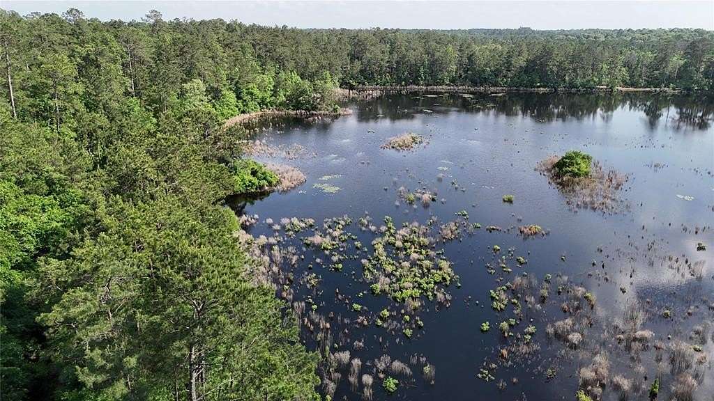7.63 Acres of Land with Home for Sale in Hillister, Texas