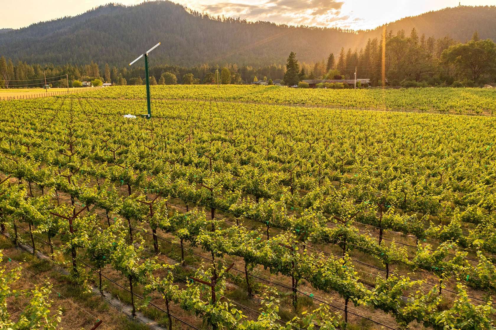 10.4 Acres of Land for Sale in Grants Pass, Oregon