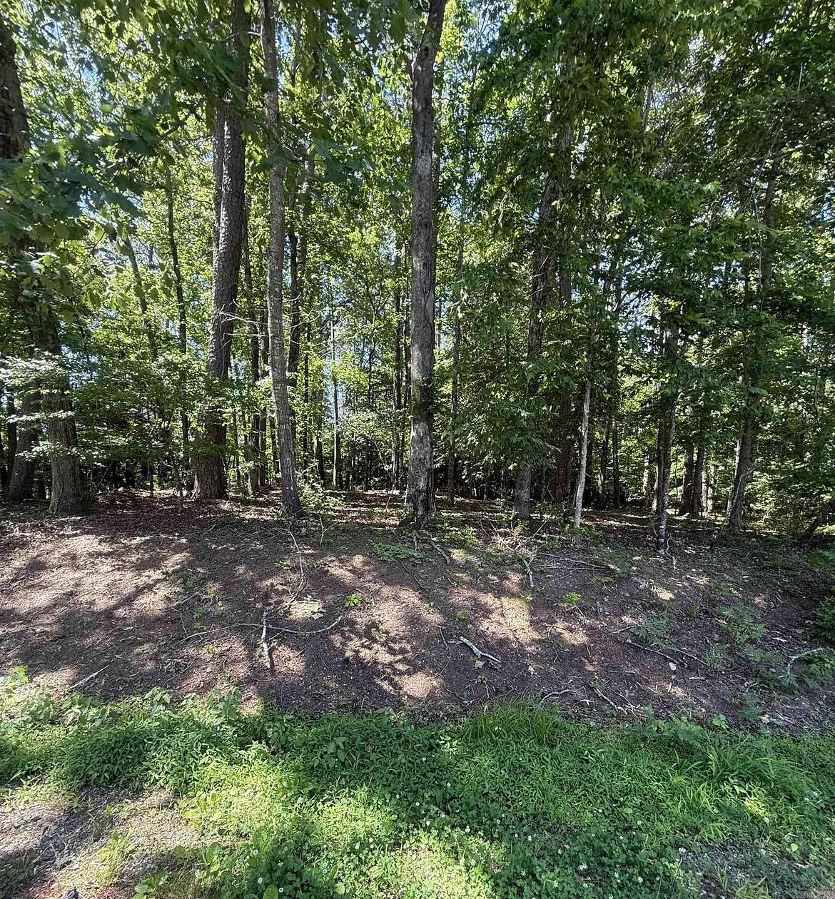 0.26 Acres of Residential Land for Sale in Hot Springs Village, Arkansas