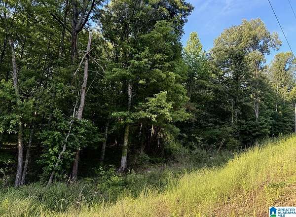 16.2 Acres of Land for Sale in Alpine, Alabama