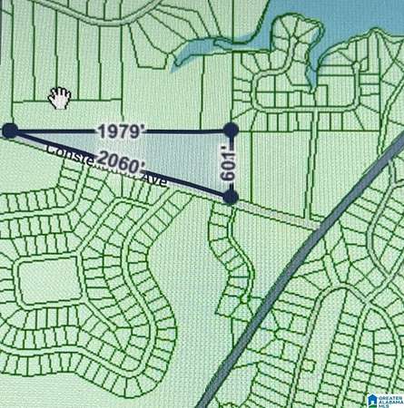 16.2 Acres of Land for Sale in Alpine, Alabama