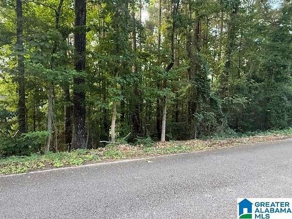 0.43 Acres of Residential Land for Sale in Woodstock, Alabama