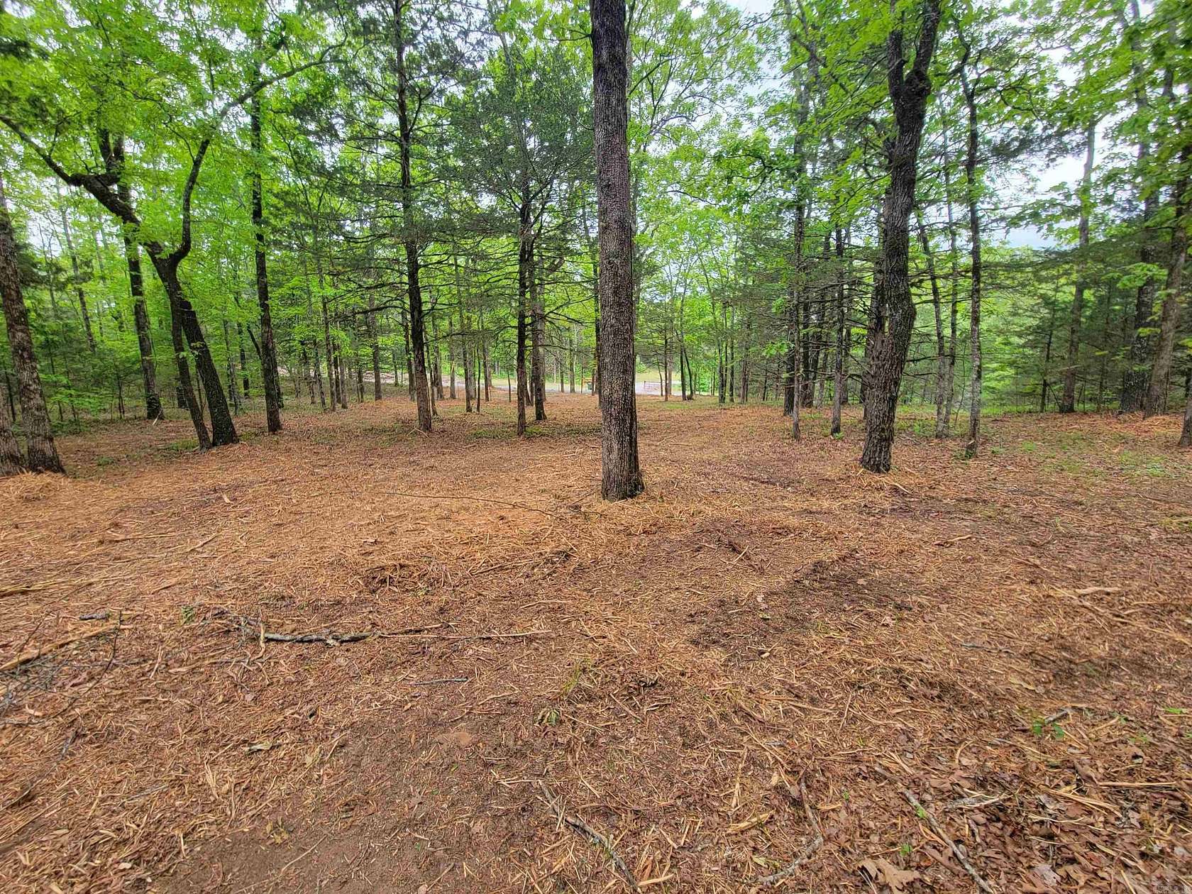 6.5 Acres of Residential Land for Sale in Greenbrier, Arkansas